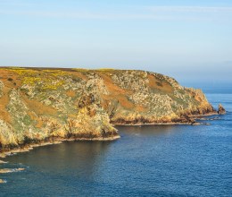 Jersey Finance launches globally focused rewilding fund