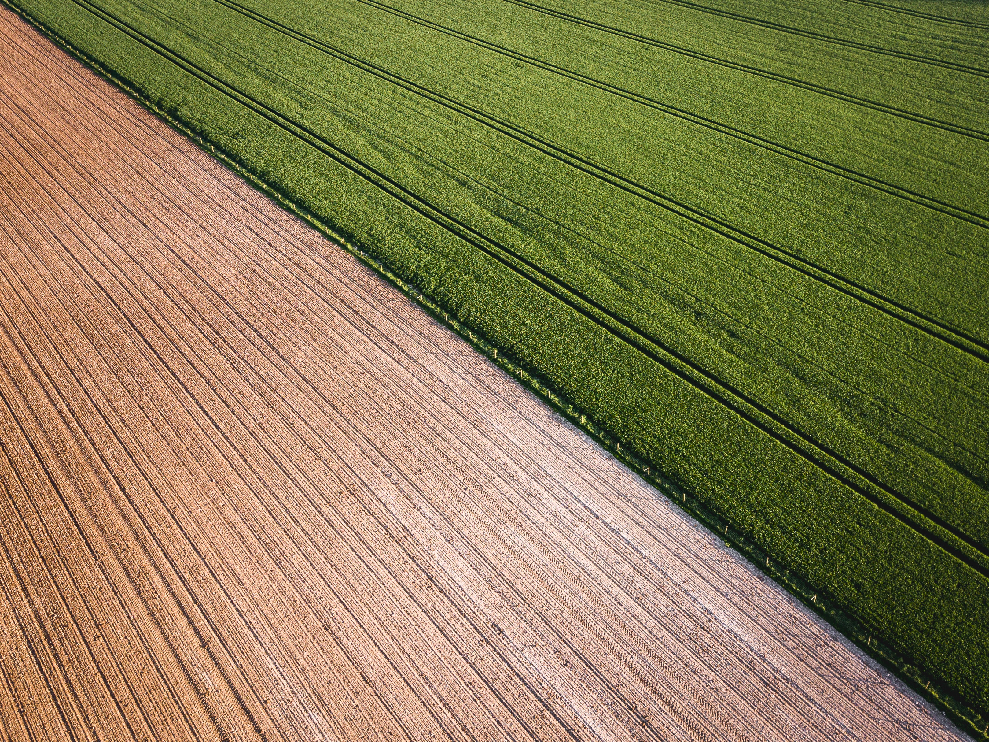 Seraphim Capital leads funding drive for crop monitoring specialists