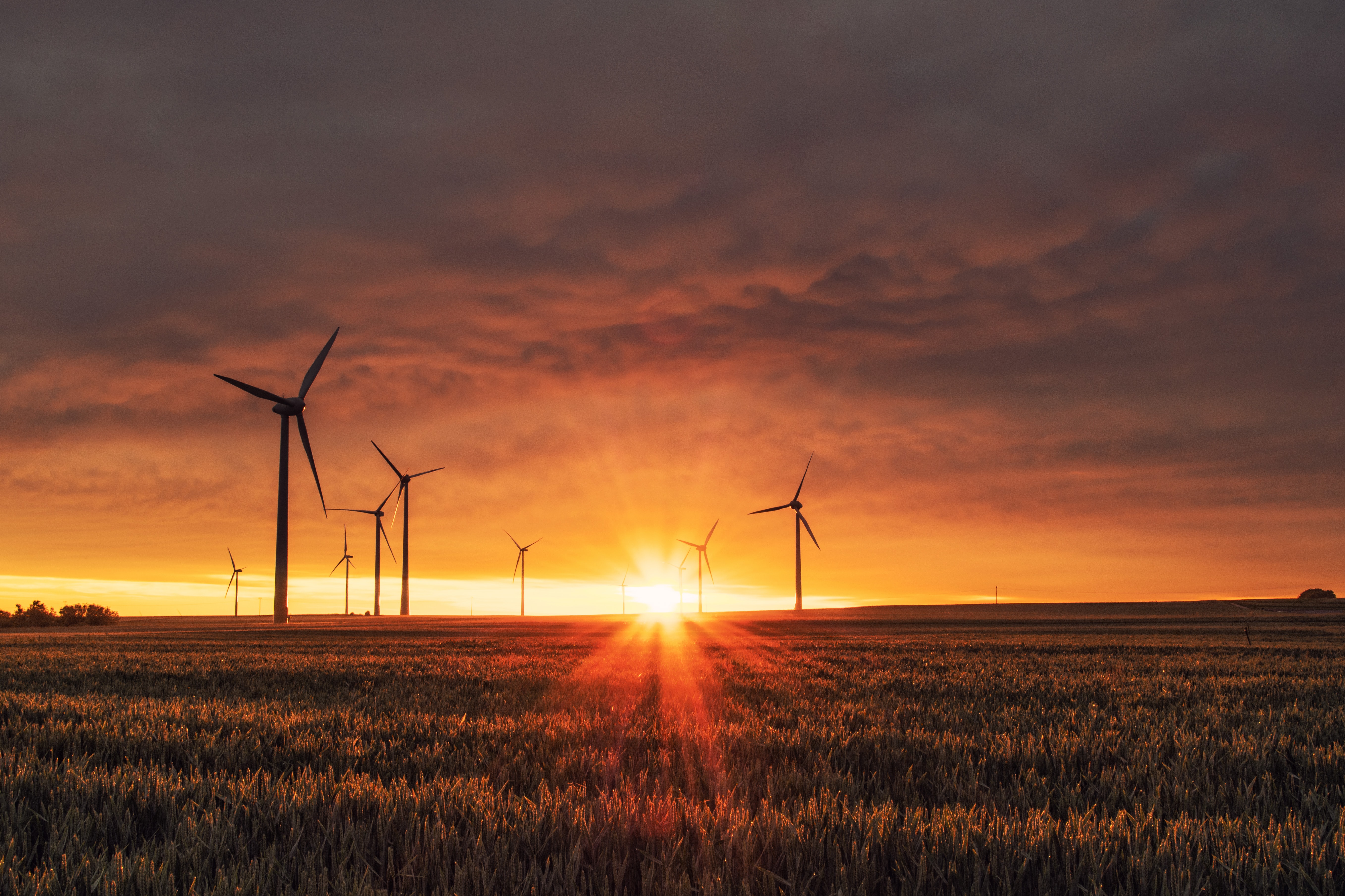 Schroders and BlueOrchard’s climate impact strategy quickly brings in $100 million