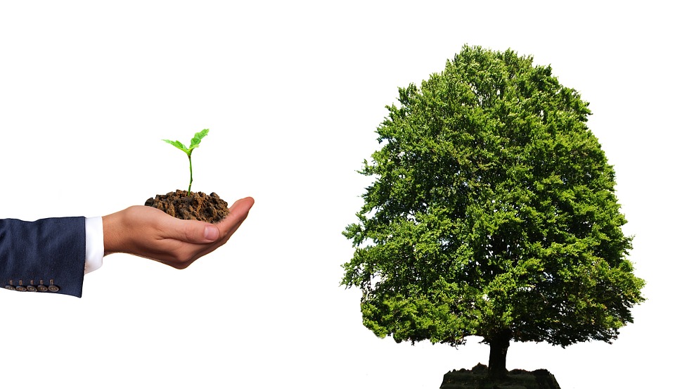 AXA Investment Managers launches fund that aims to invest in short-dated green bonds