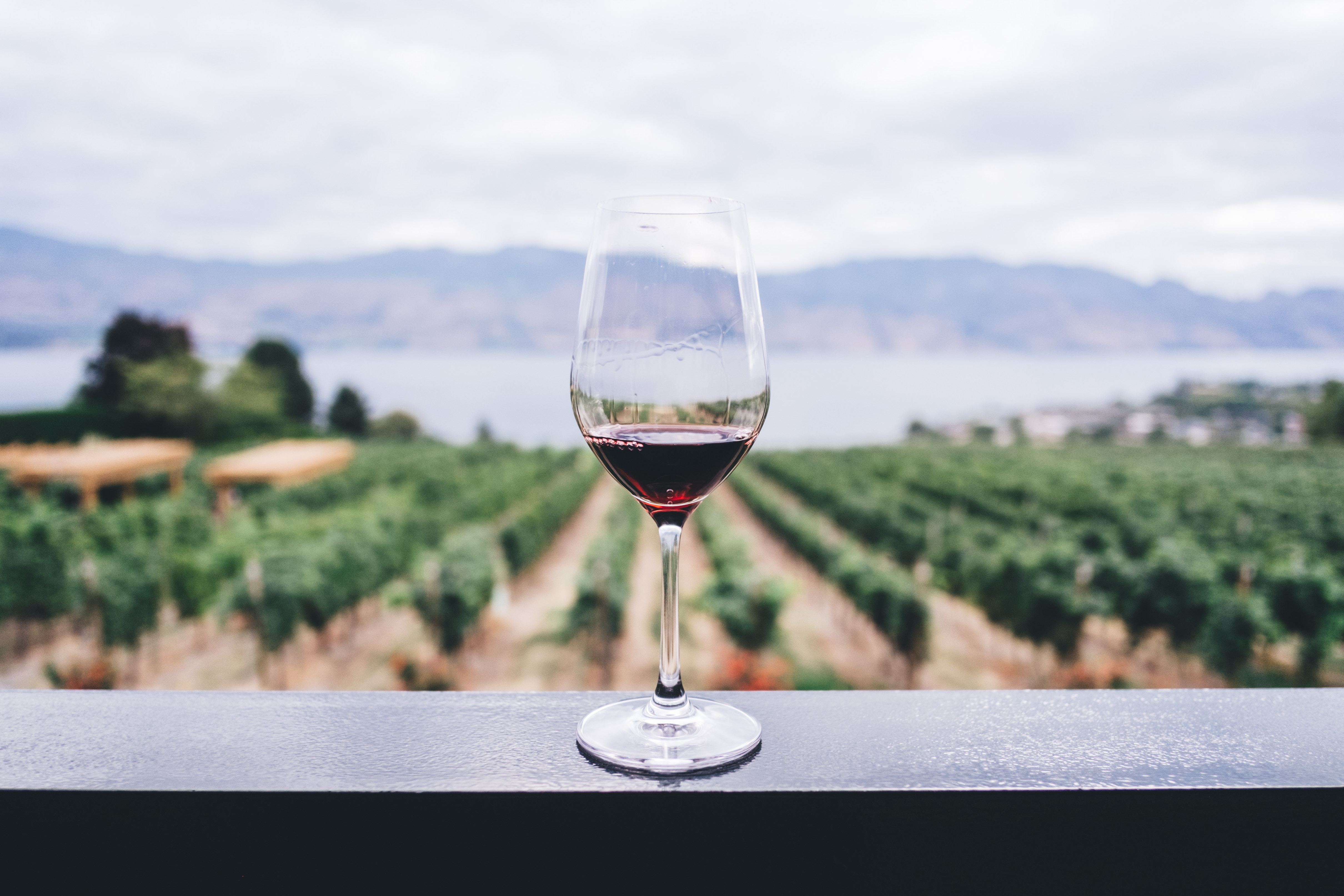 The Toper’s Rant: Should investors and wine lovers buy Bordeaux 2018 en primeur?